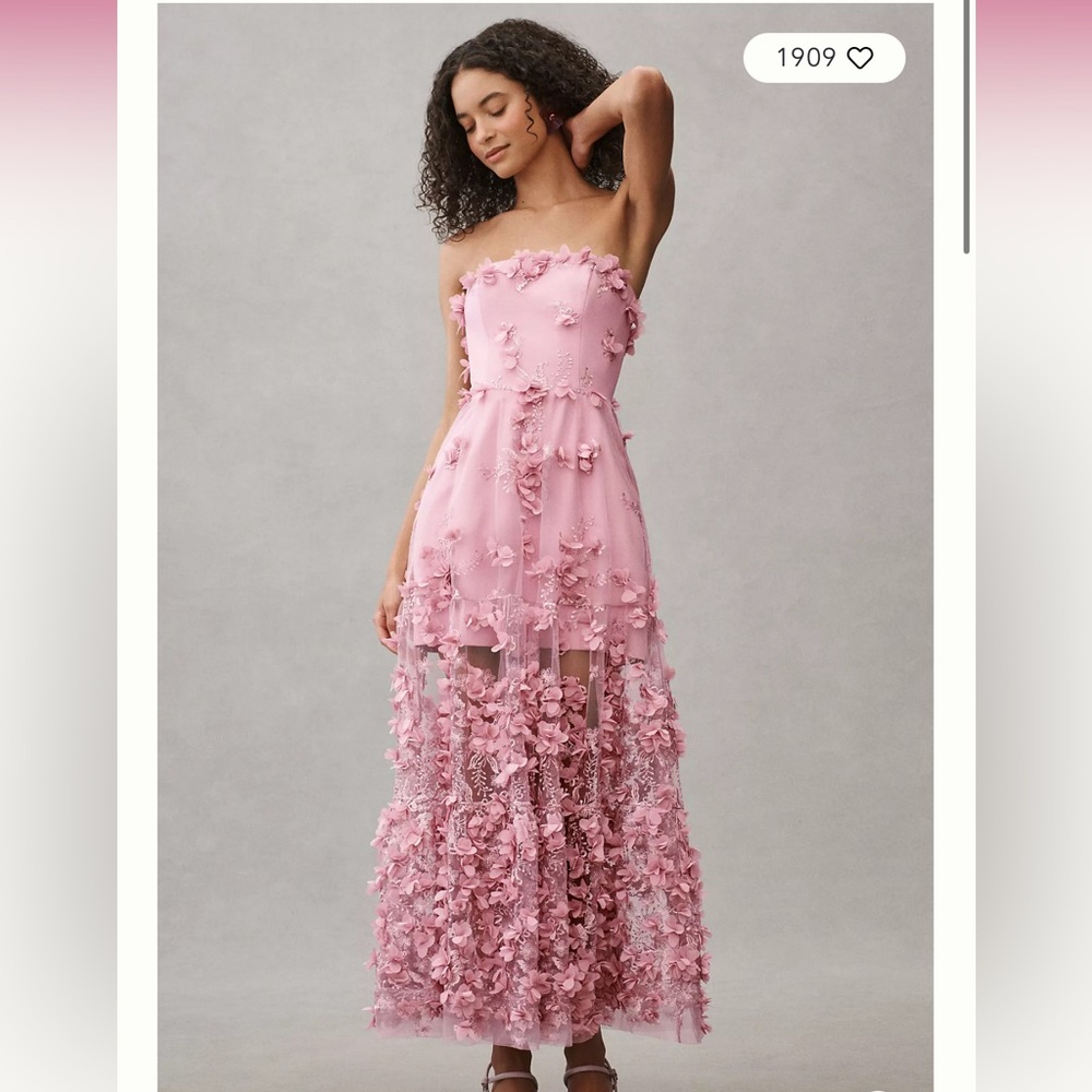 Helsi Audrey Square-Neck Floral Applique Sheer Midi Dress in size S